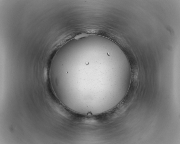 X0000113040262200909101924