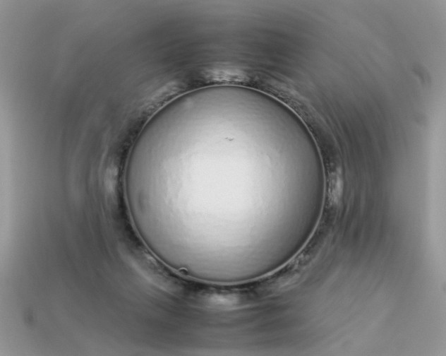 X0000113040263200909101924