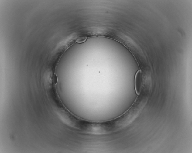 X0000113040264200909101924