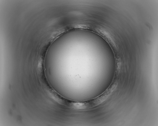 X0000113040265200909101924