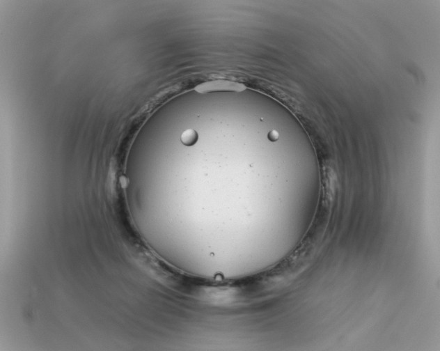 X0000113040266200909101924