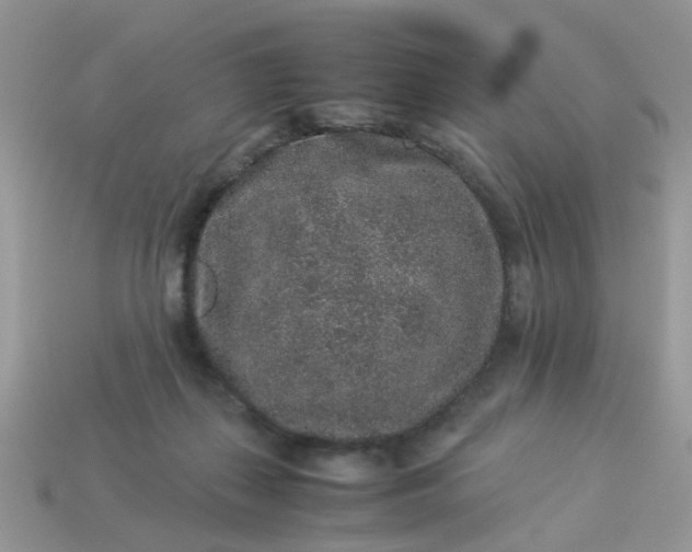 X0000113040267200909101924