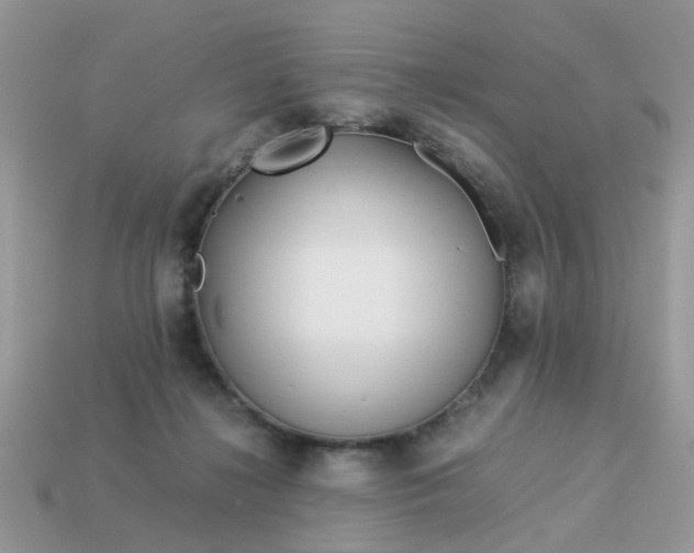 X0000113040268200909101924