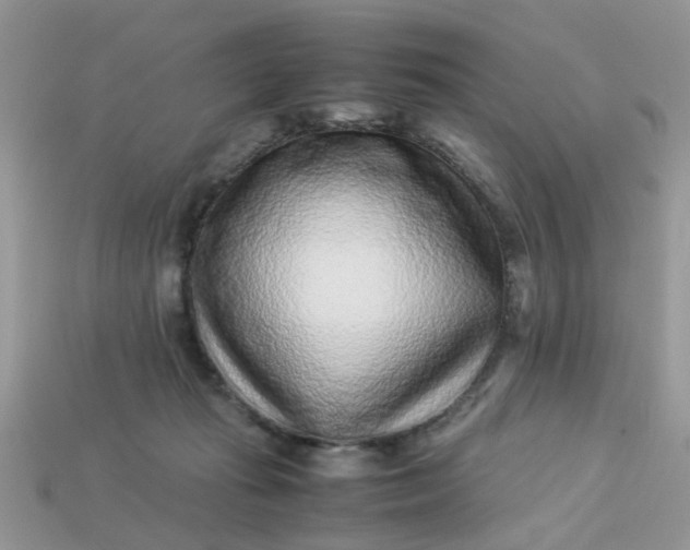 X0000113040269200909101924