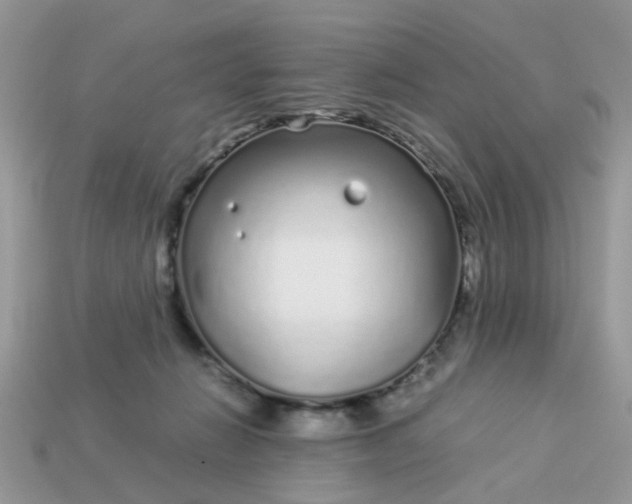 X0000113040270200909101924