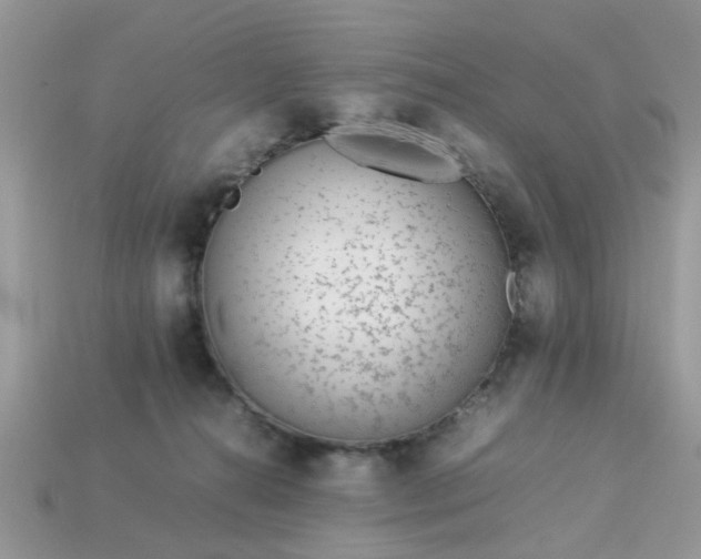 X0000113040272200909101924