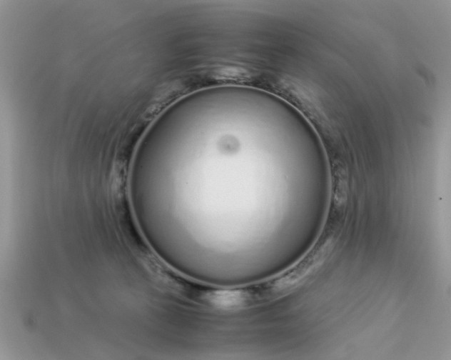 X0000113040273200909101924