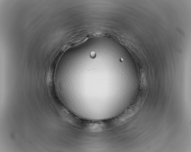 X0000113040274200909101924