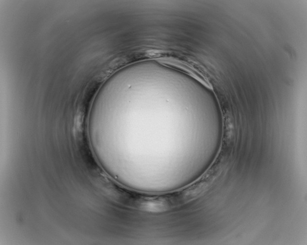 X0000113040275200909101924