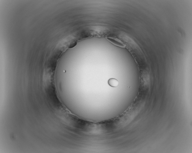 X0000113040276200909101924