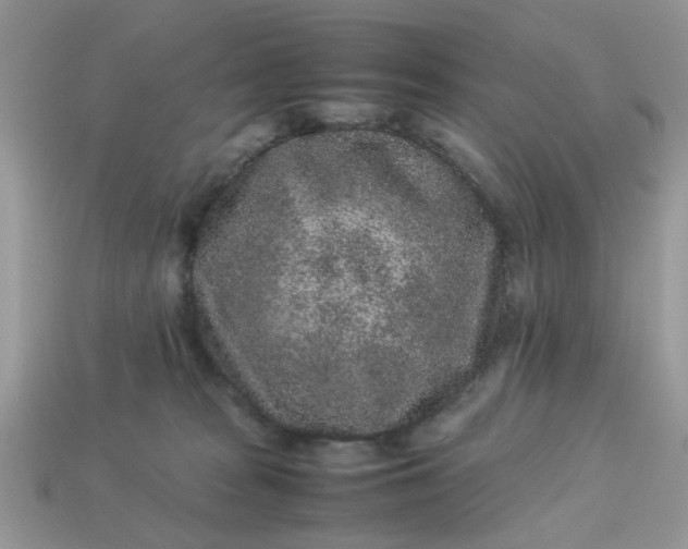 X0000113040277200909101924