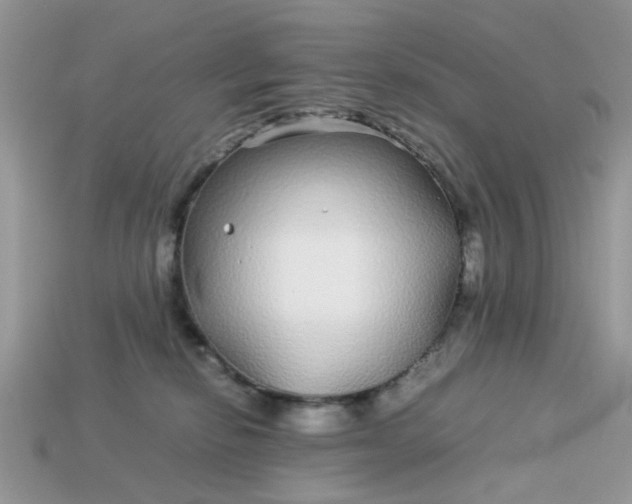 X0000113040278200909101924
