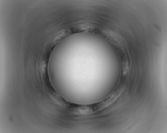 X0000113040279200909101924