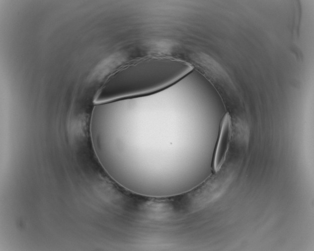 X0000113040280200909101924