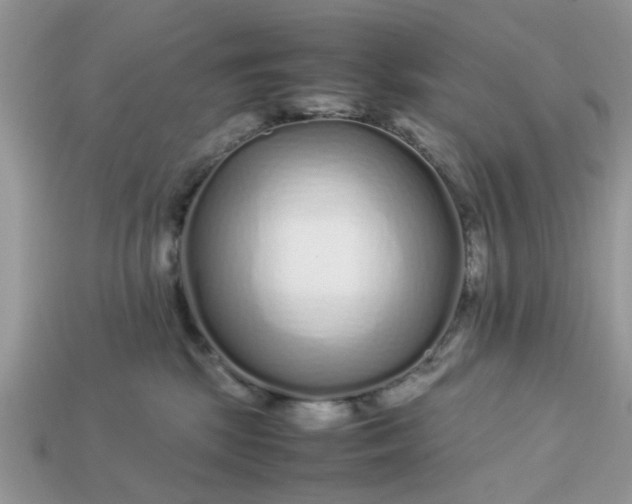 X0000113040281200909101924