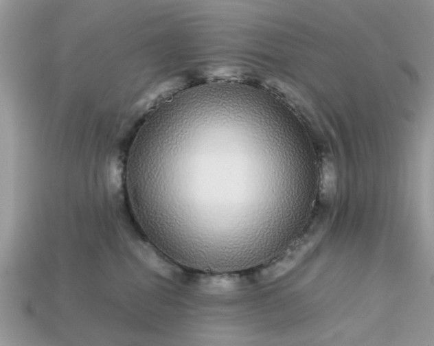 X0000113040282200909101924