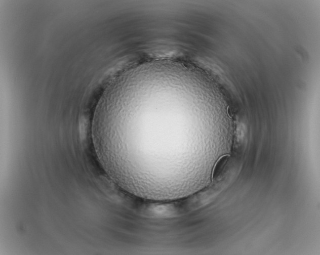 X0000113040283200909101924