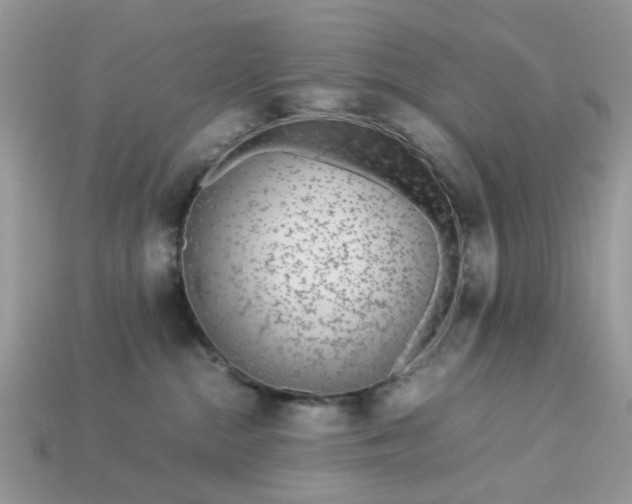 X0000113040284200909101924