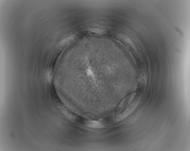 X0000113040285200909101924