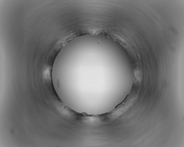 X0000113040286200909101924