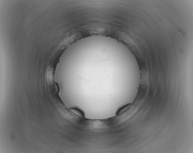 X0000113040287200909101925