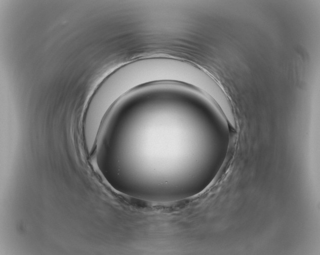 X0000113040289200909101924