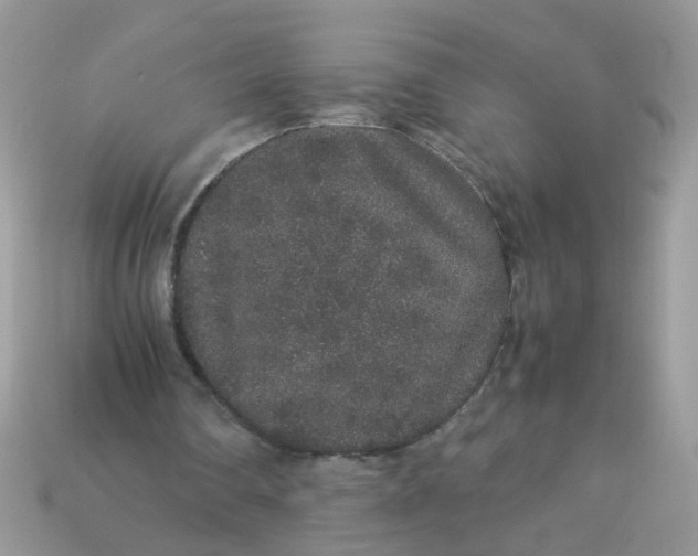 X0000113040290200909101924