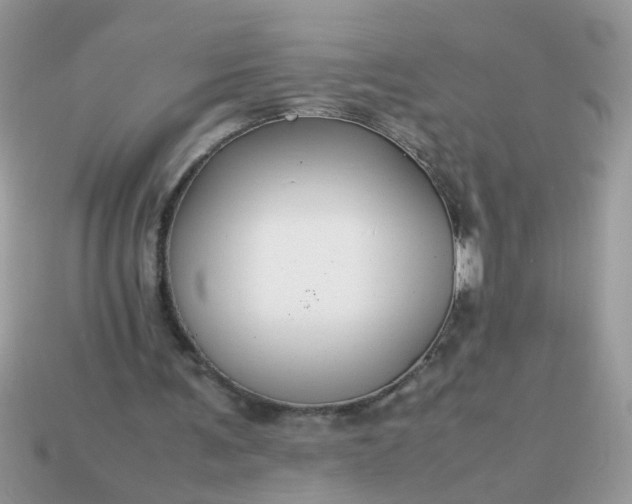 X0000113040291200909101924