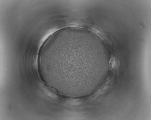 X0000113040292200909101924