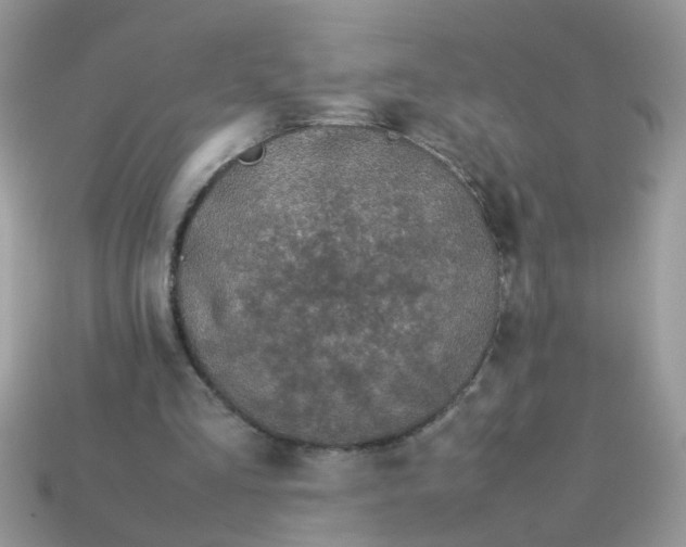 X0000113040293200909101924