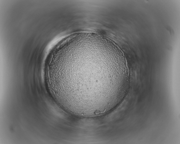 X0000113040294200909101924