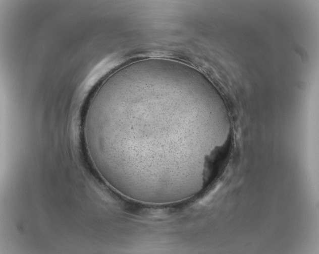 X0000113040295200909101924