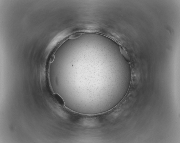 X0000113040296200909101924