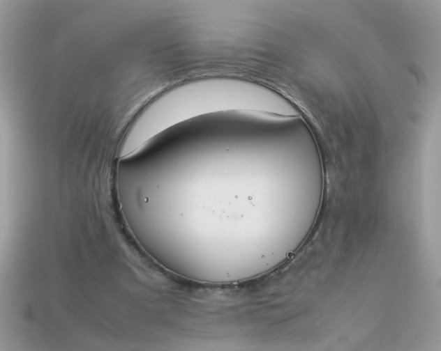 X0000113040297200909101923