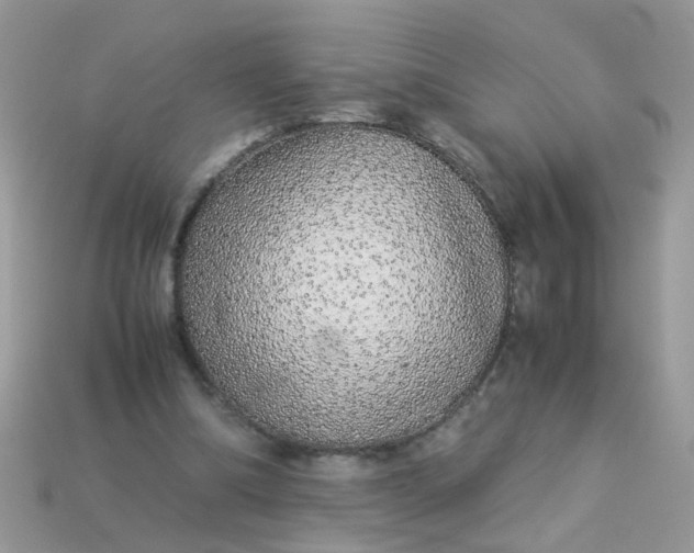 X0000113040298200909101923