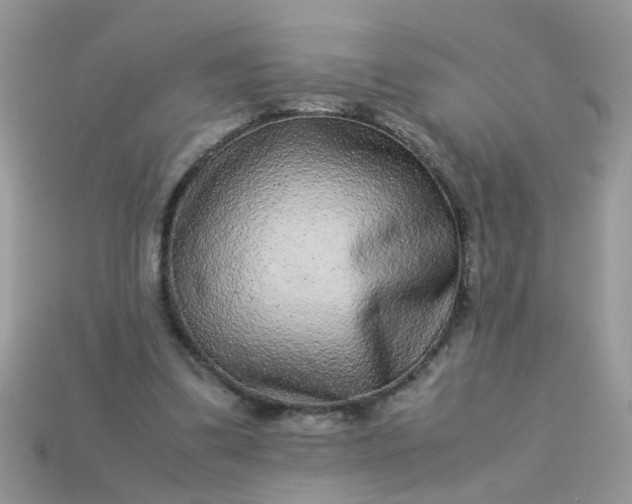 X0000113040299200909101923