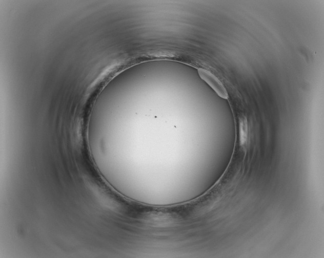 X0000113040300200909101923