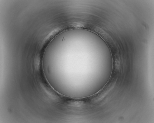 X0000113040304200909101923