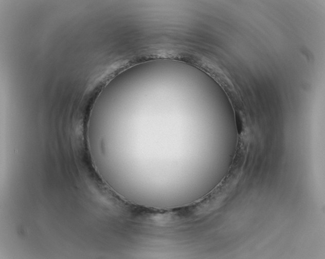 X0000113040306200909101923
