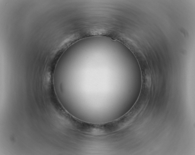 X0000113040308200909101923