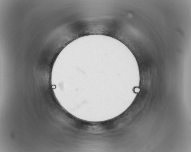 X0000113040309200909101923