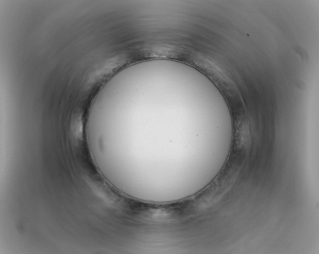 X0000113040310200909101923