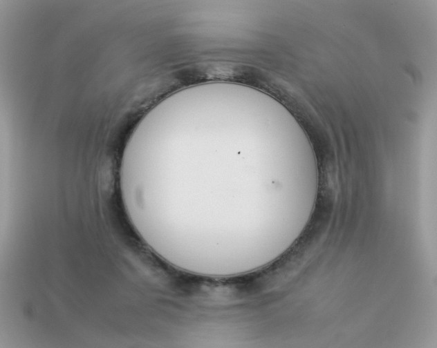 X0000113040311200909101923