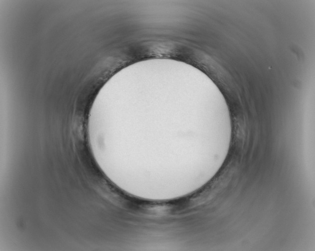 X0000113040313200909101923