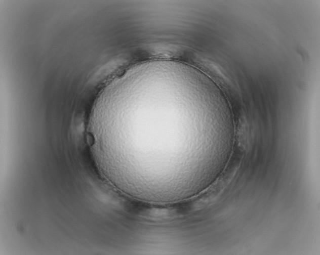 X0000113040314200909101923