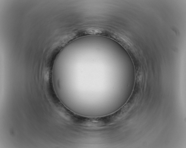 X0000113040315200909101923
