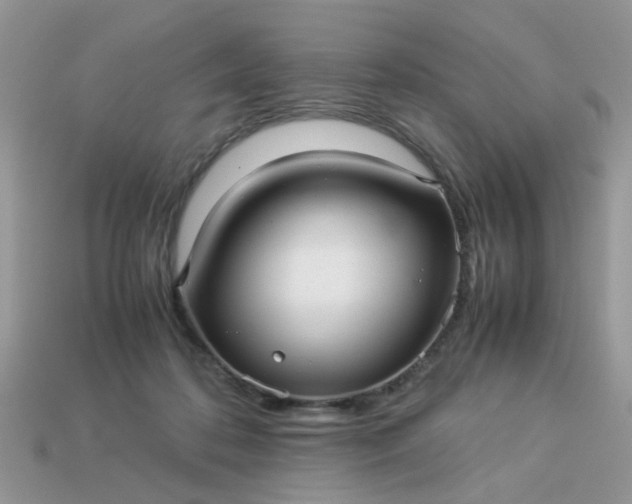 X0000113040316200909101923