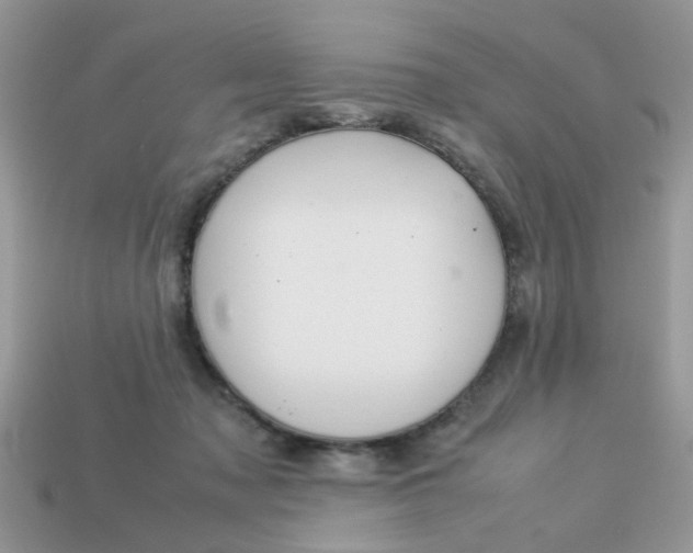 X0000113040317200909101923