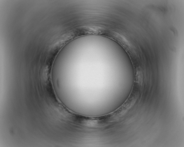 X0000113040318200909101923