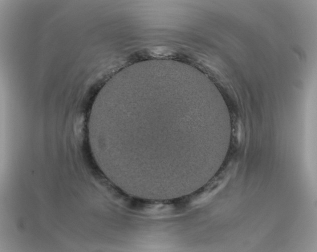 X0000113040319200909101923